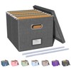 Oterri File Organizer Box,Filing Box with Lid,File Box for Letter/Legal