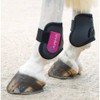 Shires Arma Fetlock Boots - Black/Plum: Cob/Full