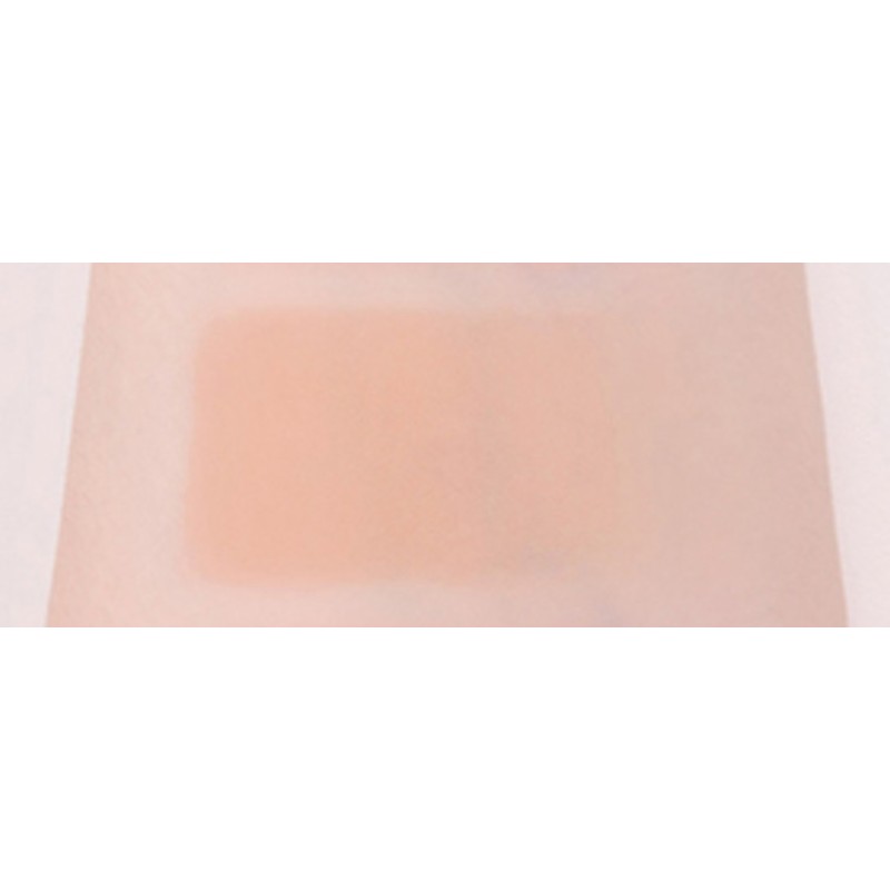 Viva Vanilla Cover Lip Base 1.7g, Full Skin, 1 Piece