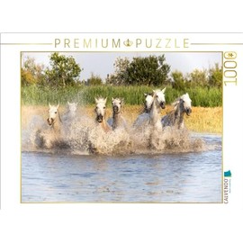 CALVENDO Puzzle Cooling in The Swamp | 1000 Pieces Size 25" x 19"