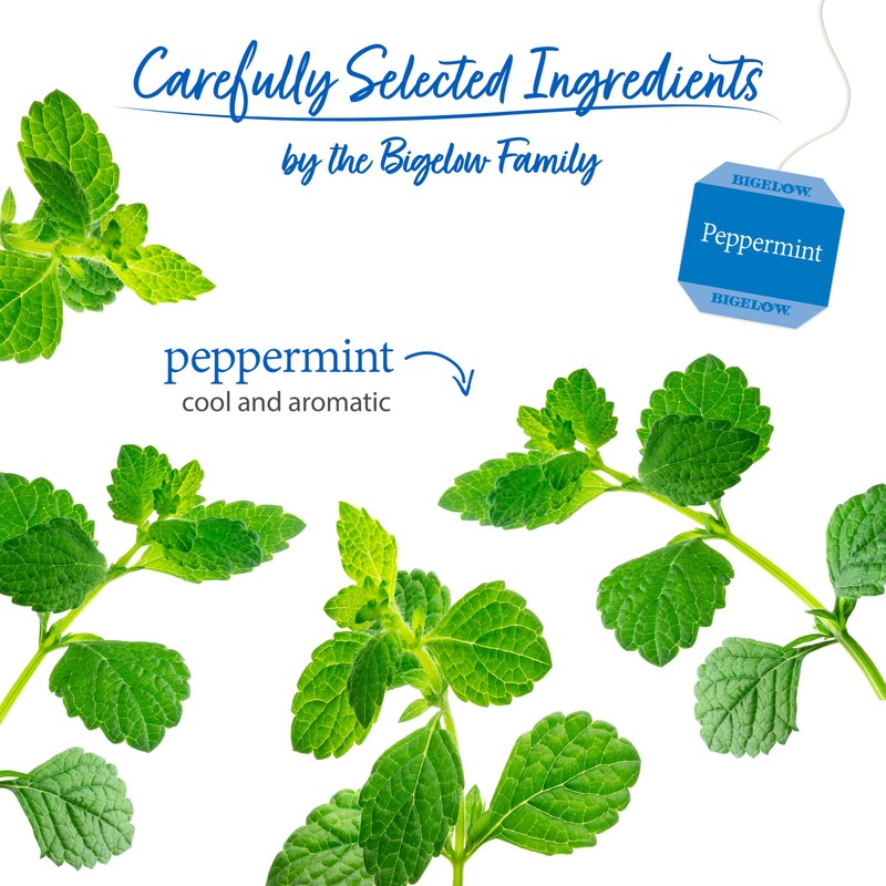 Bigelow Tea Peppermint Herbal, Caffeine Free, 20 Count, Pack of