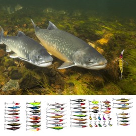 Bass Fishing Kit | Fishing Lures Accessories Kit,Realistic Bass Fishing Kit for Snakehead, Carp, Bass, Trout, Bluegill, Saltwater