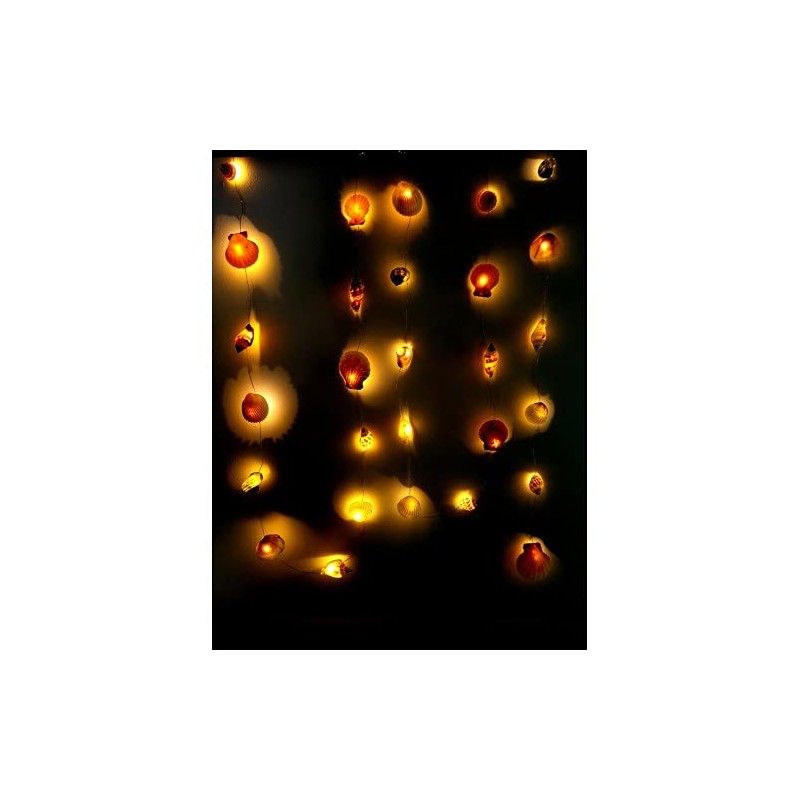 Avior LED String Sea Shell Light (10 feet/3 Meters)