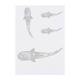 4 x 'Whale Shark' Temporary Tattoos - Water Resistant, Skin-Safe, Non-Toxic Transfers, Mixed Sizes (TO00071806)