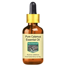 Devprayag Pure Calamus Essential Oil (Acorus Calamus) with Glass Dropper Natural Therapeutic Grade Steam Distilled 100ml (3.38 oz)
