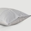 DOZ Pillowcase Set, 100% Viscose derived from Bamboo, Organically Grown,
