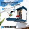 Smart Bird Feeder with Camera Solar Powered, 4K HD Video