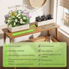 SUNCOZE Hydroponics Growing System Kit 12 Pods, 24W LED Grow