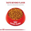 Royal Canin Breed Health Nutrition Dachshund Puppy Dry Dog Food,