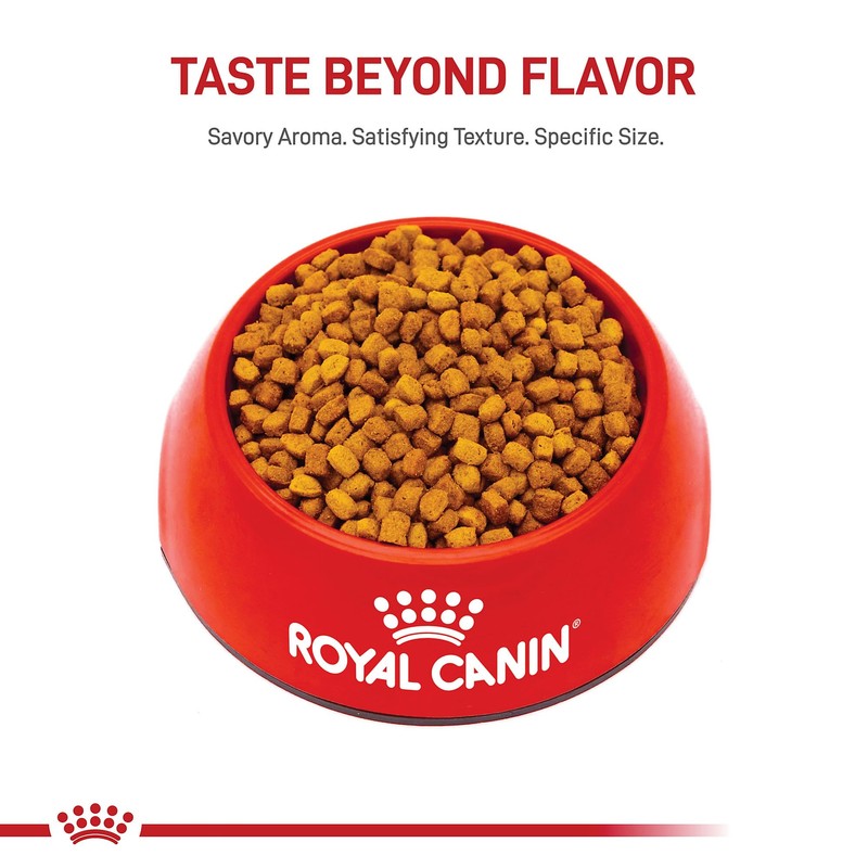 Royal Canin Breed Health Nutrition Dachshund Puppy Dry Dog Food,