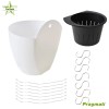 TecTech Plastic Self-Watering Plant Flower Pot Wall Hanging Garden Decoration