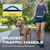 Fida 2-in-1 Slip Leads for Dogs with Double Handles, Tangle