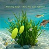 Double-Hook Reverse Bottom Rig, Swimming Bait for Beginners, Amateurs and
