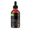 VIDA SCENTS | Aceite De Ricino 50ml 100% Natural, Puro