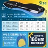 [Supervised by National Qualified Holders] Insole, Sports, Shock Absorption, Unisex,