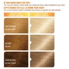 Garnier Belle Color Permanent Hair Dye, 110 Extra Light Natural