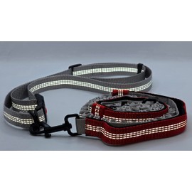Hands Free Dog Leash with Adjustable Waist Belt, Dual Padded Handles, Elastic Bungee Ropes for Small to Large Dogs, Reflective Stitches for Walking, Hiking, Running and Biking. (Gray and Red, Large)