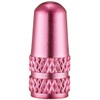  Alligator (Alligator) NC – FR 仏式 Valve Caps Pink (Pk)