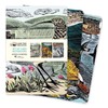 Angela Harding: Wildlife Set of 3 Midi Notebooks