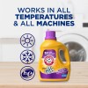 ARM & HAMMER Plus OxiClean Odor Blasters Liquid Laundry Detergent,