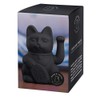 DONKEY Products Waving Cat, Plastic, Black, 10.5 x 8.5 x