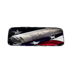 Premium We The People Bug Screen Fits Ram Pickup 1500,2500,3500 (903-11)