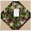 SG Wonder Zone 660-033 Wreath, 9.4 inches (24 cm), All