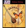 Vahdati 2 in 1, STRING and PARDEH SEHTAR, SETAR, SITAR,