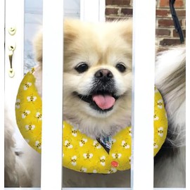 Puppy Bumpers Honey Bee - Made in USA Puppy Bumpers 100% Cotton Stuffed Safety Fence Collar to Keep Your pet Safely on The Right Side of The Fence (10-13")