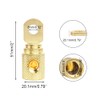 2Pcs 0 Gauge Brass with Gold Plated Ring Set Screw