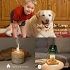 Candeldo Candle Warmer Lamp with Timer: Flower Candle Warmer with