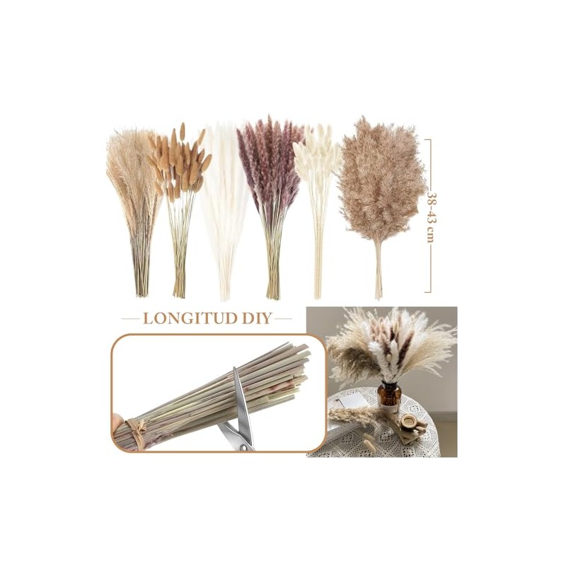 HONGHCL Pampas Decorativas Secas 120pcs - Plantas Naturales Suaves y
