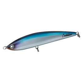 Daiwa Diving Pencil Saltiga Cadora 185F Blue Back