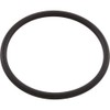 Pentair R172319 Bottom O-Ring