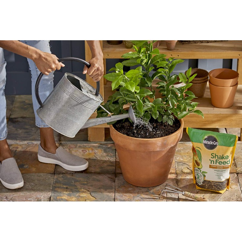Miracle-Gro Shake 'n Feed Citrus, Avocado and Mango Plant Food