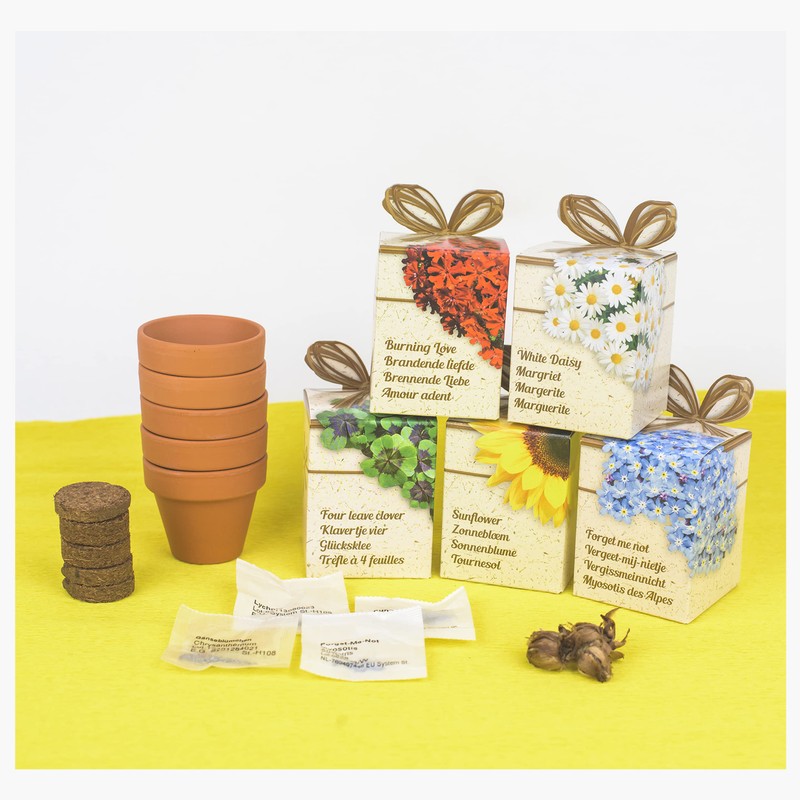 Iflo Pflanzset mit 5 Blumensorten, Anzuchttöpfe mit Erde und Samen,