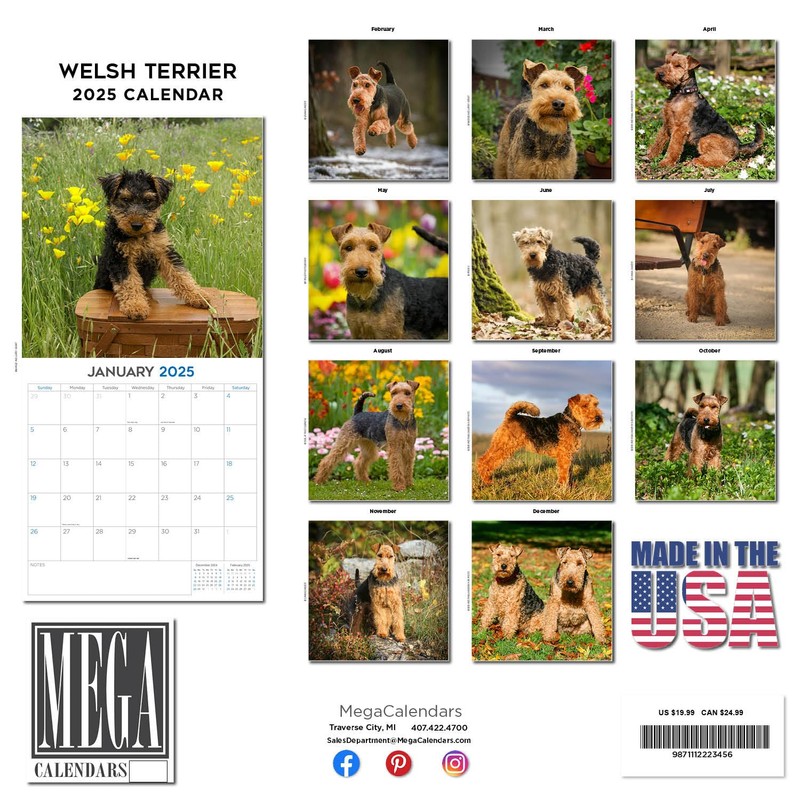 MegaCalendars - Welsh Terrier Calendar 2025 - Dog Breed Calendar