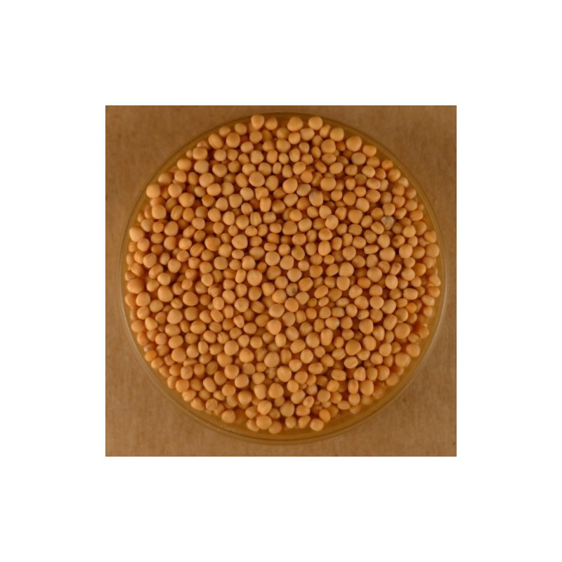 Mustard Seeds, Whole Yellow - 10 lbs Bulk