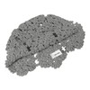 ZLYC Women's Crochet Cotton Beanie Hat, gray