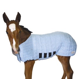 UltraFlex Lightweight Saver Foal Blanket for Horses | Tekno-Dri Technology & Cotton Mini Horse Blanket | Foal Blanket in Cold Climate | Miniature Horse Blanket |Color Blue |Size Small
