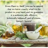Natural's Answer GotuKola Extract, Gluten-Free, Alcoohol-Free, 30 ml
