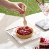 MATANA - 20 Square Plastic Small Dinner Party Plates, Silver