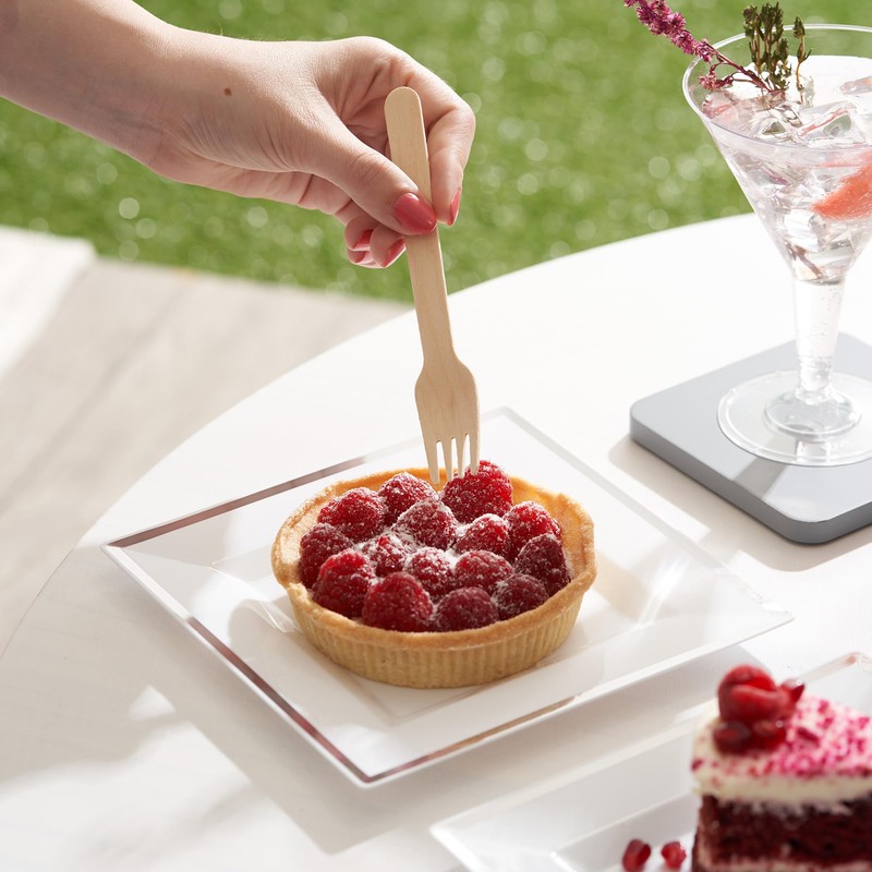 MATANA - 20 Square Plastic Small Dinner Party Plates, Silver