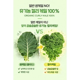 Product reference Dr.Lin Organic Curly Kale Freeze-dried Powder Glucosinolate Effectiveness 30 sachets 3 3 months / 닥터린 유기농 컬리케일 곱슬케일 동결건조 분말 글루코시놀레이트 효능 30포 3개 3개월