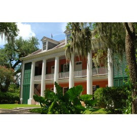 Olde World Coffee Company 2025 Fresh Roasted Coffee 1 Bag - Whole Bean - Plantation Blend Coffee Med Roast