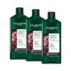 Yves Rocher - Kit Shampoo Reparación para Cabello Seco y