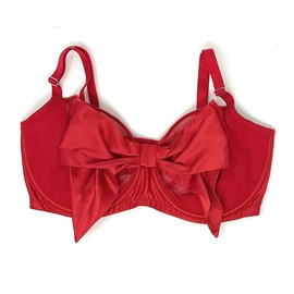 Victoria's Secret Dream Angels Push-Up Without Padding Bra, Lipstick Mesh/Satin Bow, 36D