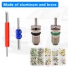 TSUGAMI 102PCS Car Air Conditioner Valve Cores Kit, A/C R12