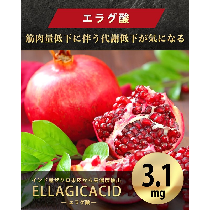 ホットバーン ガルシニア 420mg ブラックジンジャー 120mg エラグ酸 3.1mg ダイエットサプリ HOTBURN 180錠