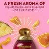 OGX Champú de aceite alisador sin frizz queratina, 5 en